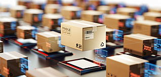 التفتيش والتعبئة